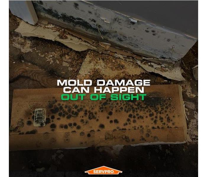 Mold on the back of a piece of baseboard laying on the ground with the caption: MOLD DAMAGE CAN HAPPEN OUT OF SIGHT
